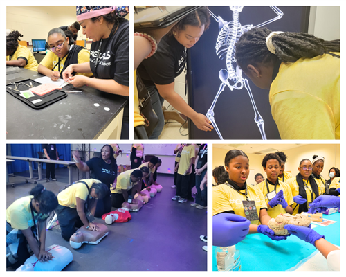 Collage of students working with the body